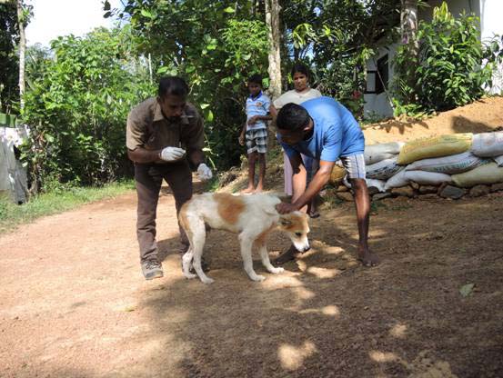 Sri Lanka